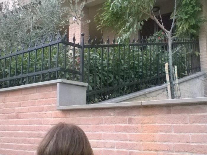 Archisio - I Fabbri De La Pieve - Progetto Cancelli e ringhiere in ferro su misura