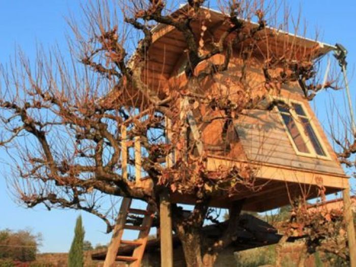 Archisio - Casalberi - Progetto Casetta sul caco