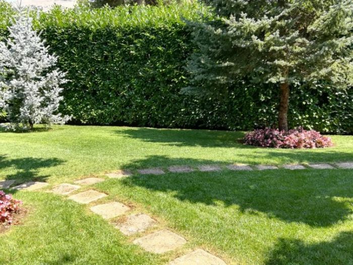 Archisio - Verdein Ss - Progetto Galleria