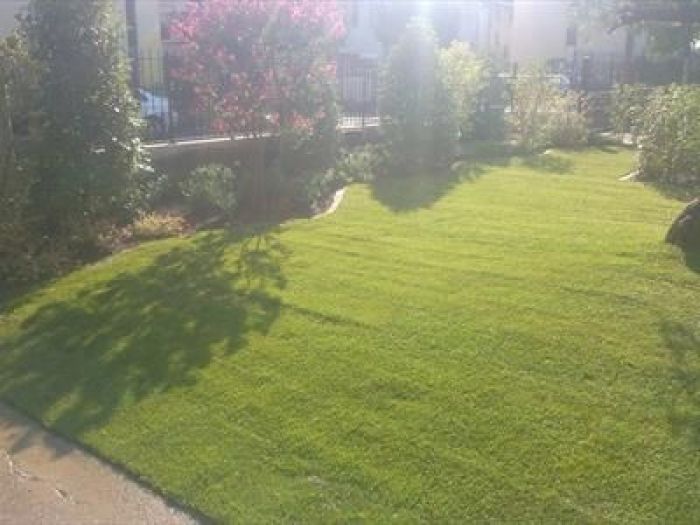 Archisio - Robi Bonaita Alessio Bonaita Fabiano Bonaita - Progetto Giardini