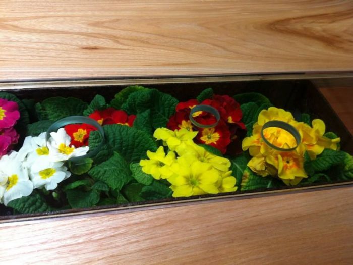 Archisio - Macrit Materie Creative Italiane - Progetto E arrivata la primavera