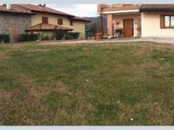 Archisio - Il Marito In Affitto - Progetto Giardinaggio