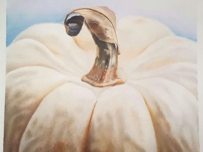 Archisio - Alessio Vandini - Progetto Portfolio