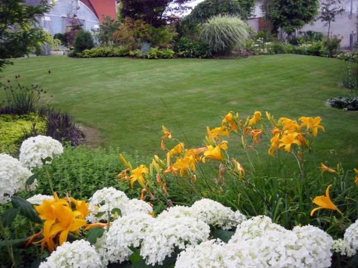 Archisio - Vivai Cantatore - Progetto Piante