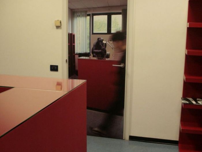 Archisio - Leolab - Progetto Spin