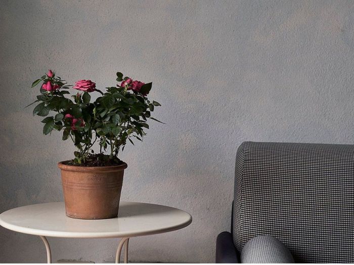 Archisio - Matteo Castelli Fotografia - Progetto Fattoria lottavo lucolena in chianti radda