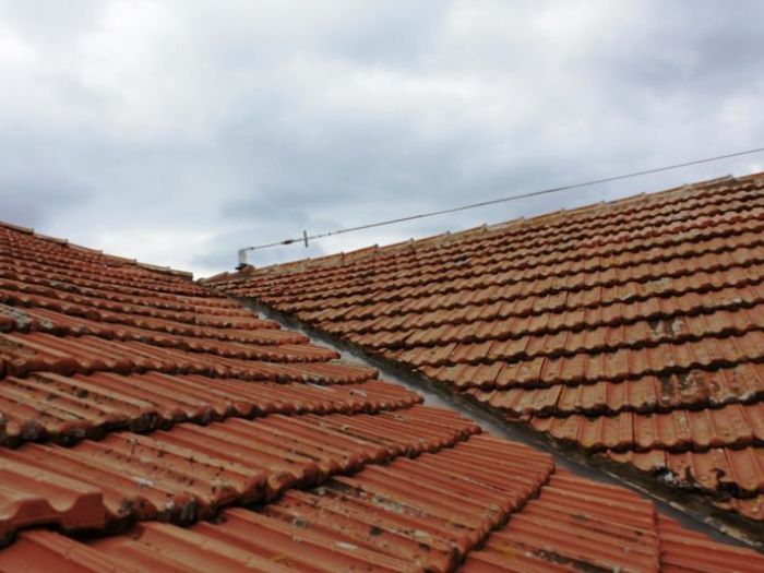 Archisio - Ponteggi Scaffali Engineering srl - Progetto Scuola elementare arbus