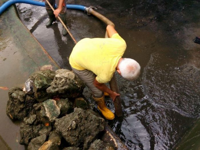 Archisio - New System Service Soc Cons Arl - Progetto Servizi di pulizia