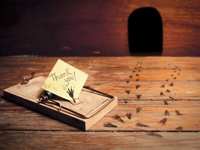 Archisio - Mustop - Progetto Azienda