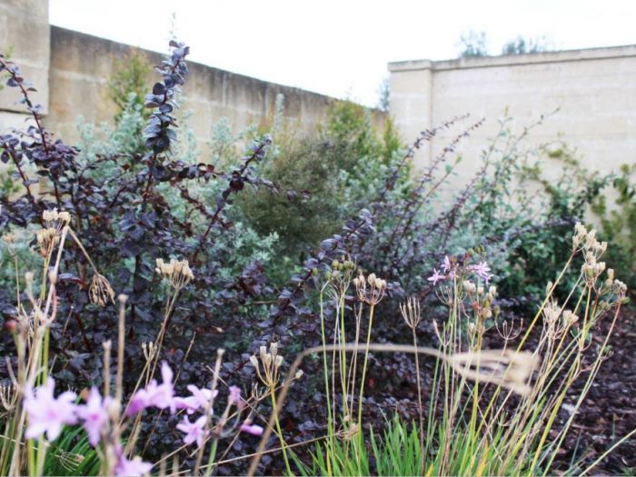 Archisio - Gabriele Fanuli - Progetto Nel giardino di gianluigi e barbara