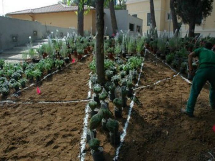 Archisio - Open Space Projects - Progetto Parco universit luiss