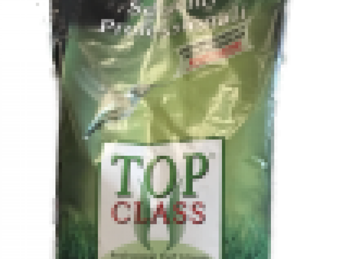 Archisio - Asti Garden - Progetto Sementi da prato