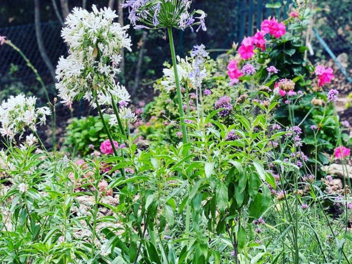 Archisio - Claudia Dibbe Piazza - Progetto Storica dellarte ed ingegnere agronomo Paesaggismo e home decor counselling