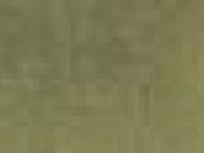 Archisio - Payanini The Stone Brand - Progetto Payanini