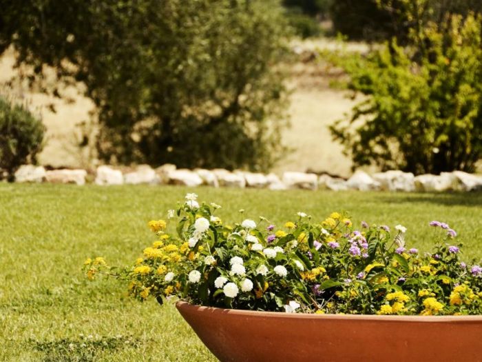 Archisio - Arkitetti Flore Venezia - Progetto La casa di sandra