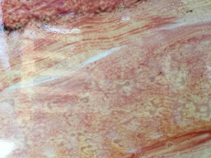 Archisio - Studio Tassi - Progetto Tecniche di resinature per pavimenti e rivestimenti