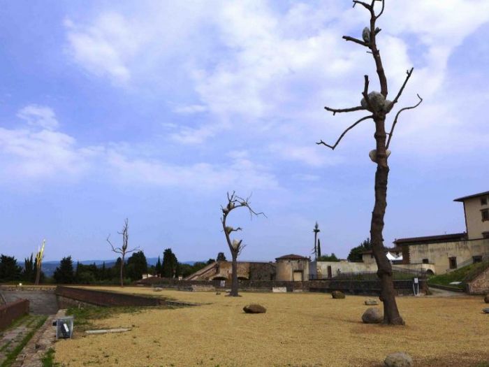 Archisio - Zeno Pucciarchitects - Progetto Mostra prospettiva vegetale giuseppe penone