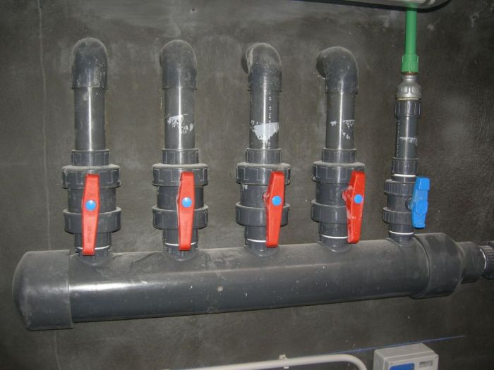 Archisio - Bertoli Piscine - Progetto Piscina rettangolare a bordo sfioratore