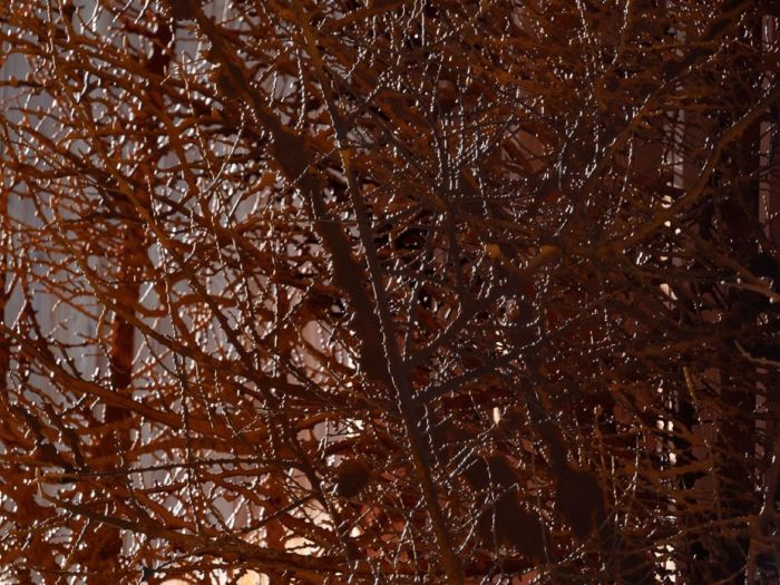 Archisio - Studio Cc - Progetto Le regole