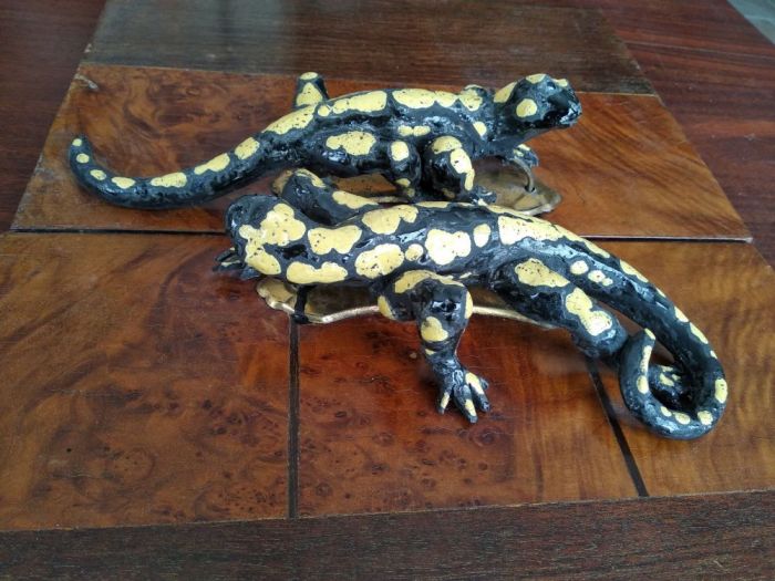 Archisio - Emilio Alberti - Progetto Salamandre