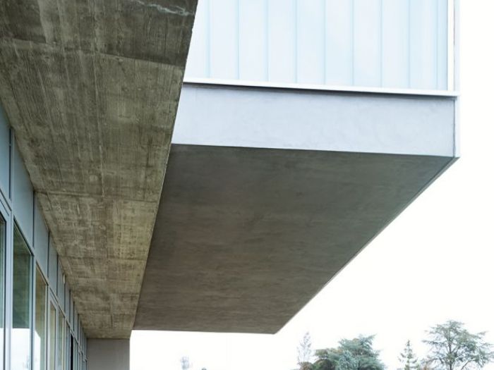 Archisio - Giacomo Ciolfi - Progetto Scuola materna - la balena