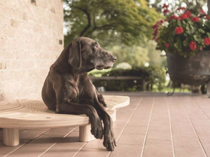 Archisio - Brandodesign - Progetto Il lettino dune