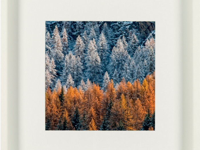 Archisio - Stevephoto Di Stefano Venturini - Progetto Cornici