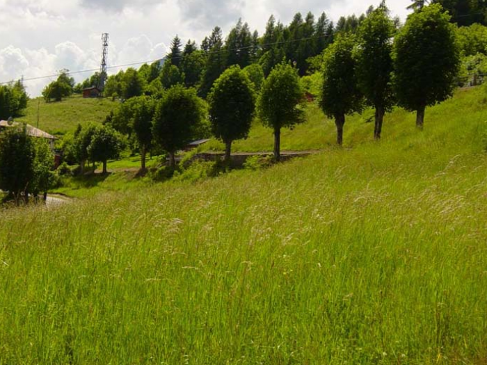 Archisio - Immobiliare Irsara srl - Progetto Valle di cadore belluno