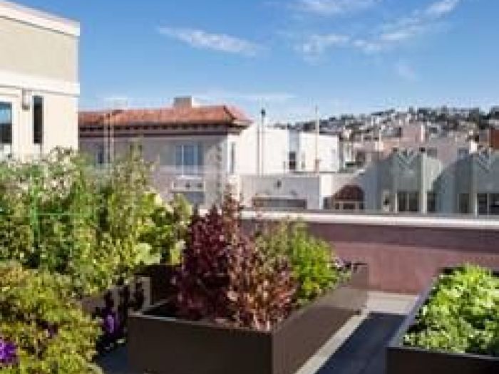 Archisio - Antonella Marchetti - Progetto Ortocultura