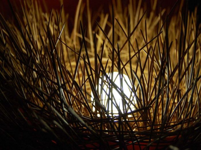 Archisio - Laura Cera Kera Ecodesign - Progetto Nido