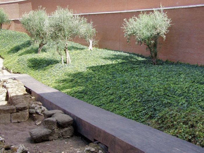 Archisio - Micada Group - Progetto ScaviVilla romana auditorium roma