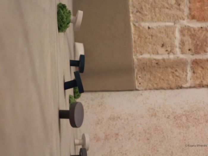 Archisio - Pedone Working - Progetto Verde matematico