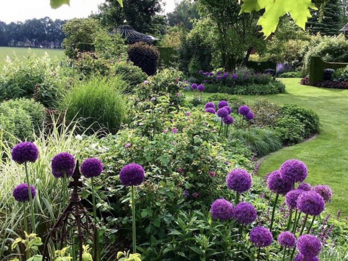 Archisio - Claudia Dibbe Piazza - Progetto Allinsegna di piet oudolf