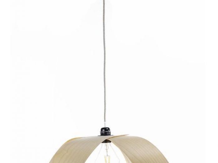 Archisio - Daniele Balangero Balume - Progetto Margherita