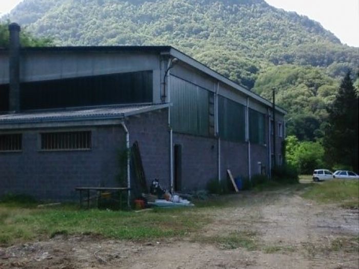 Archisio - Emme Advice - Progetto Medanavisca s R L