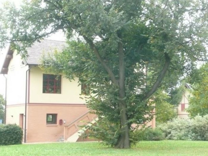 Archisio - L Archivolto Progettazioni Di Architetture E Dinterni - Progetto Casine di villa clotilde