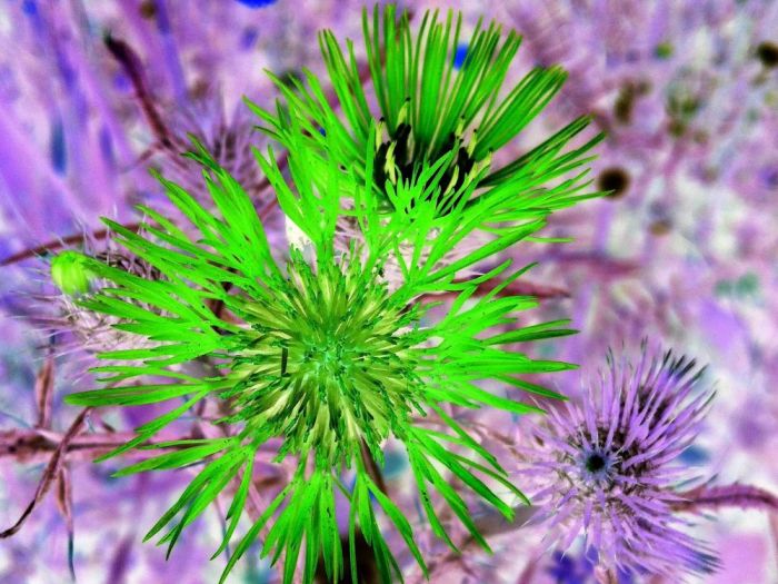 Archisio - Gianluca Vetrugno Meltem Kosan the Art Of The Negative - Artisti - Progetto Galleria 1 fotografie astratte