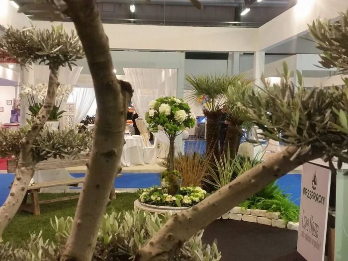 Archisio - Massarroni - Vivai Piante - Garden - Progetto Vivai e piante