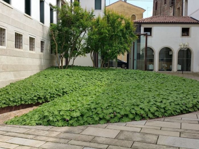 Archisio - Habitat Natura - Progetto Giardinaggio deccellenza
