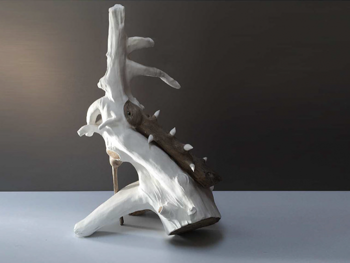 Archisio - Mariolina Fumo - Progetto Creatures