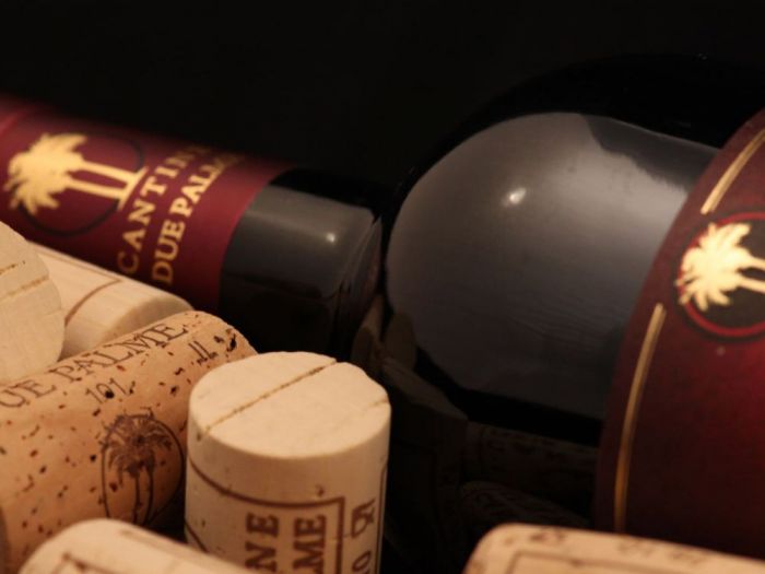 Archisio - Alessandra Marsegliaarchitetto - Progetto La foresteria di cantina due palmeWine resort spa