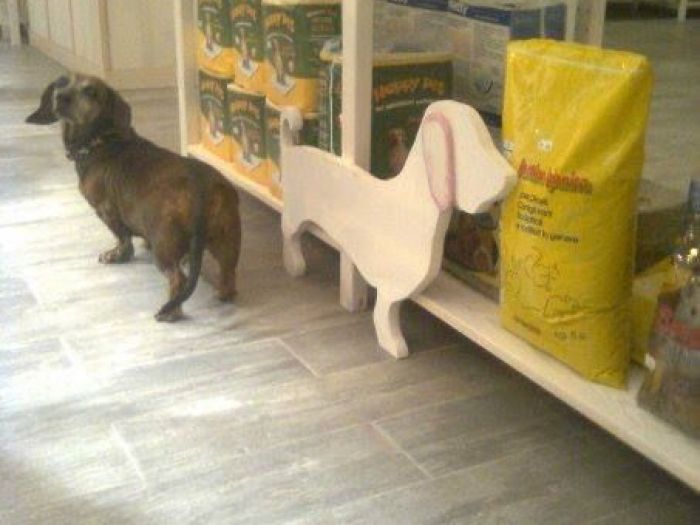 Archisio - Falegnameria Restauro Alaimo - Progetto Restauro mobili armadi realizzati su misura