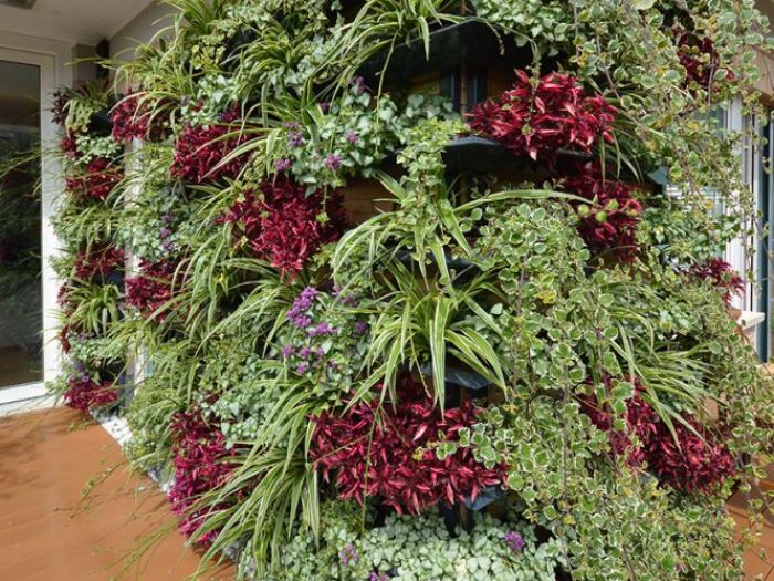 Archisio - Matteo Pavese Odap - Progetto Vd22