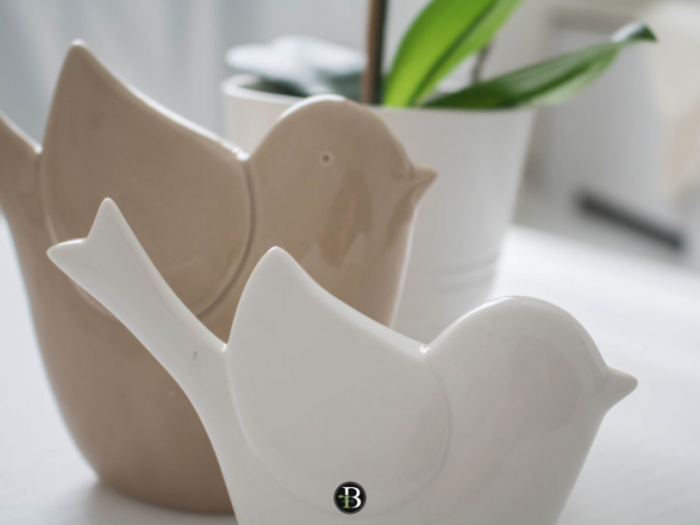 Archisio - Roberta Bossolasco - Progetto Giuliana