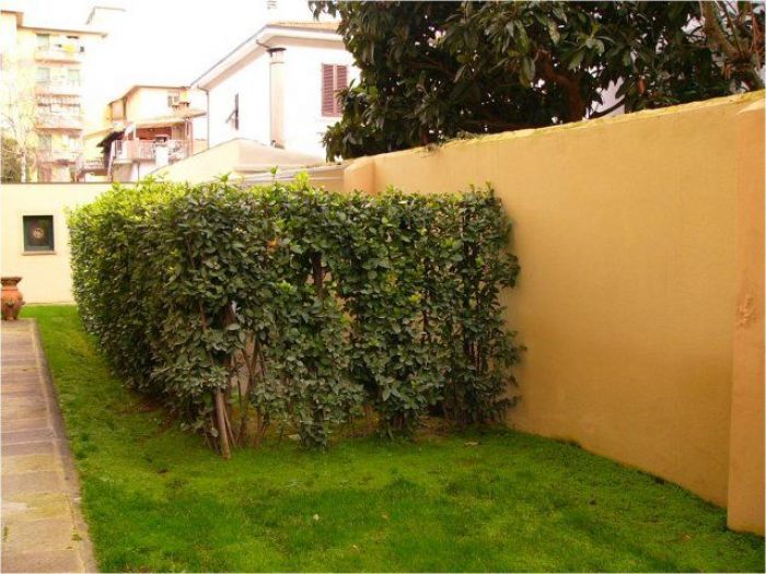 Archisio - Francesca Bertini - Progetto Villa patrizia