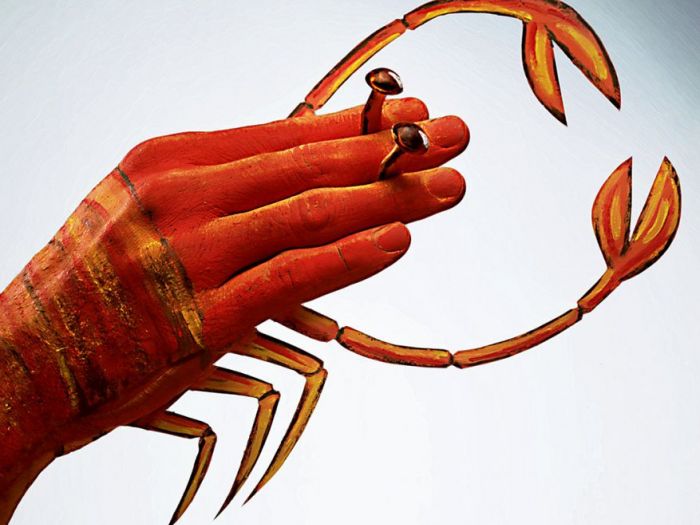 Archisio - Andrea Sabatello - Progetto Stills