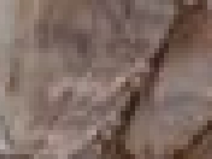 Archisio - Payanini The Stone Brand - Progetto Payanini