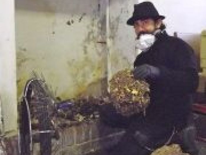 Archisio - Camino-tecnica Di Defilippi Ing Paolo Fumista Spazzacamino - Progetto Servizio spazzacamino