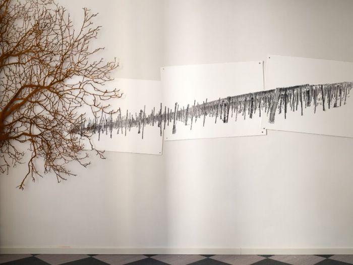 Archisio - Studio Cc - Progetto Colline e albero