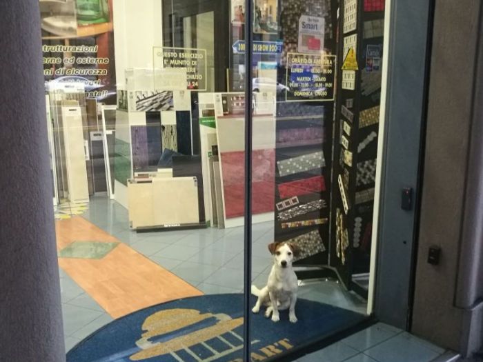 Archisio - Decorart - Arredo Bagno E Complementi Di Arredo - Progetto DECORART IMPRESA EDILE -COMPLENTI DARREDO BAGNO